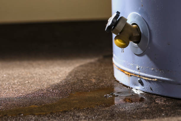 Best Water damage cleanup near me  in Buchanan, GA