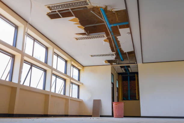 Best Flooded house restoration  in Buchanan, GA