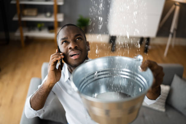 Best Professional water damage repair  in Buchanan, GA