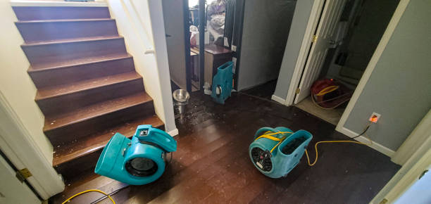 Best Water damage contractors near me  in Buchanan, GA