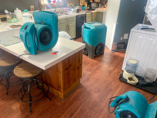 Best Water damage restoration near me  in Buchanan, GA