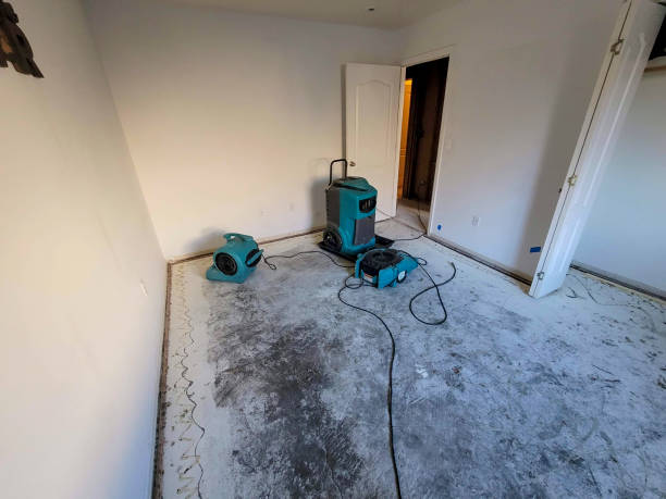 Best Basement water damage restoration  in Buchanan, GA