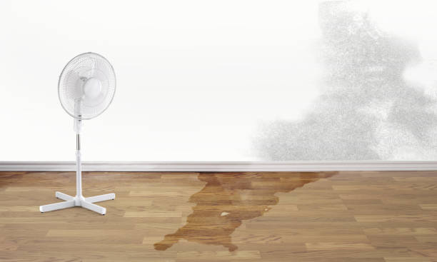 Best Commercial water damage restoration  in Buchanan, GA