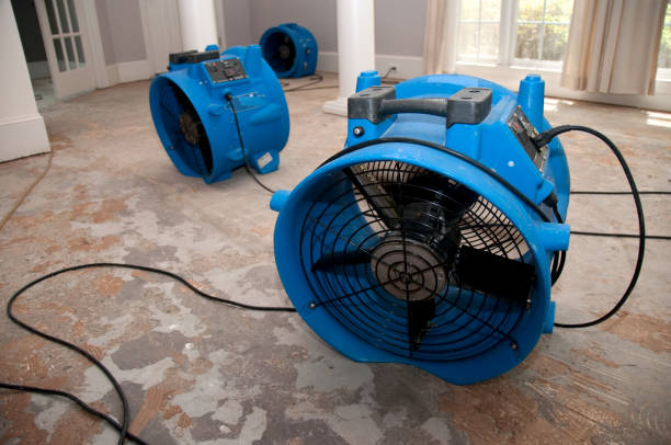 Best Residential water damage restoration  in Buchanan, GA