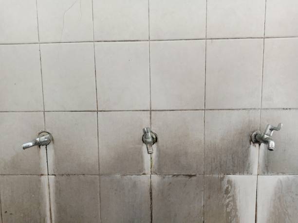 Best Emergency water damage restoration  in Buchanan, GA