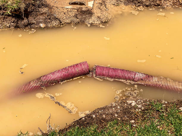 Best Water damage restoration near me  in Buchanan, GA