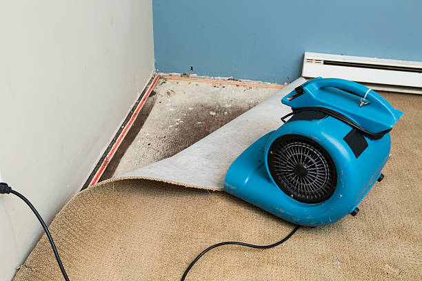 Best 24/7 water damage repair  in Buchanan, GA